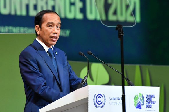 Der Präsident Indonesiens, Joko Widodo, will den Regenwald in seinem Land schützen.