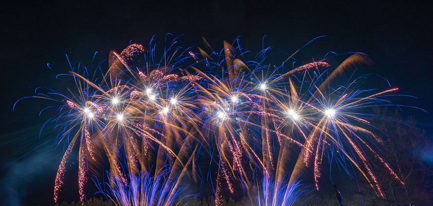 Bunte Feuerwerksraketen steigen bei der Vorführung von Silvesterfeuerwerk einer Firma in Sehmatal in den Himmel. Sehmatal Sachsen Deutschland *** Colorful fireworks rockets rise into the sky during th ...