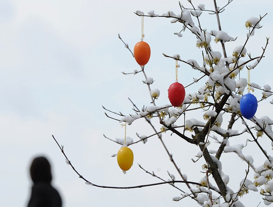 A snow-covered tree is decorated with Easter eggs during unsettled spring weather with snow and temperatures of three degrees near the bank of the lake Ammersee in Herrsching, southern Germany, on Apr ...