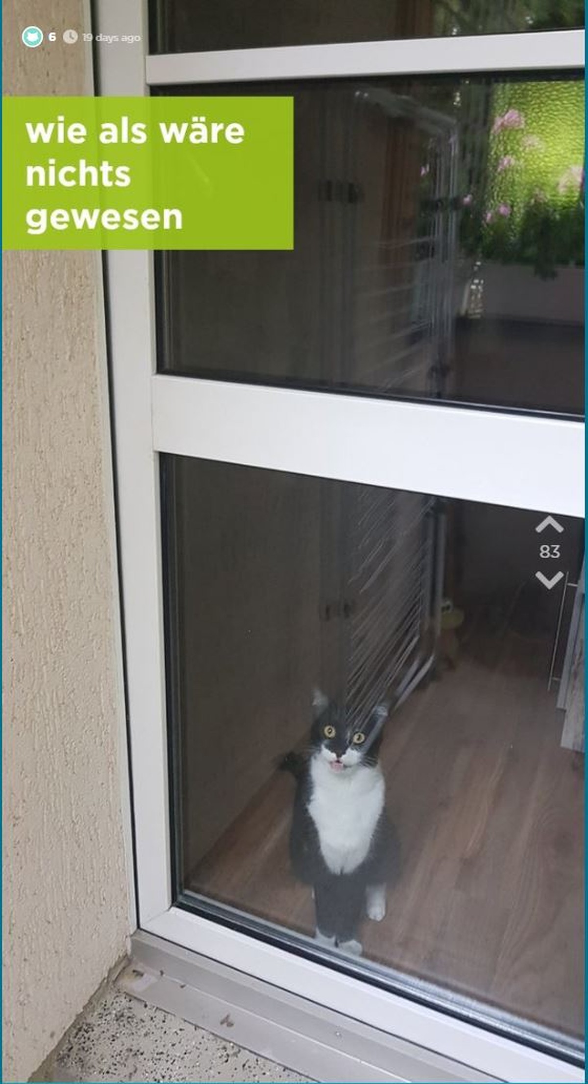 jodel.com Katze Balkon Raucher