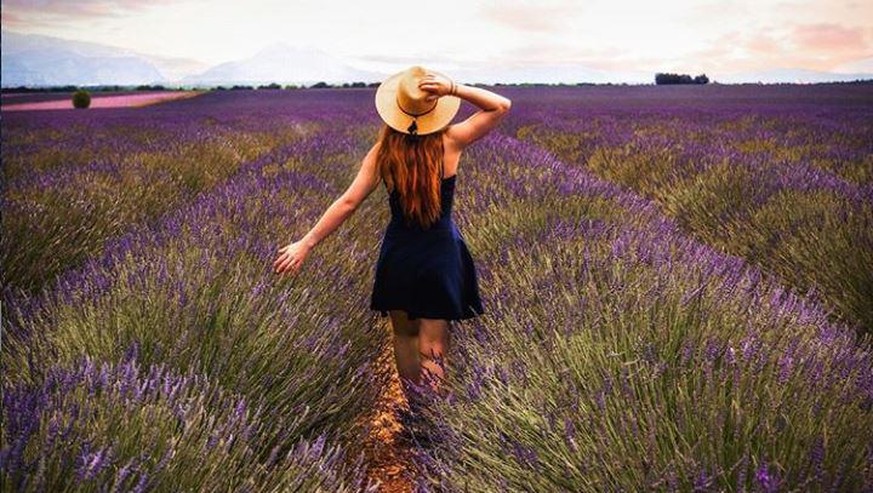 Die Lavendelfelder von Valensole sind ein beliebtes Motiv für Instagram – zum Ärger der Lavendelbauern.