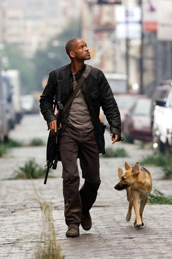 I AM LEGEND [US 2007] WILL SMITH as Robert Neville, KONA / ABBY as Sam I AM LEGEND [US 2007] WILL SMITH as Robert Neville, KONA / ABBY as Sam [German Shepherd] Date: 2007 (Mary Evans Picture Library)  ...
