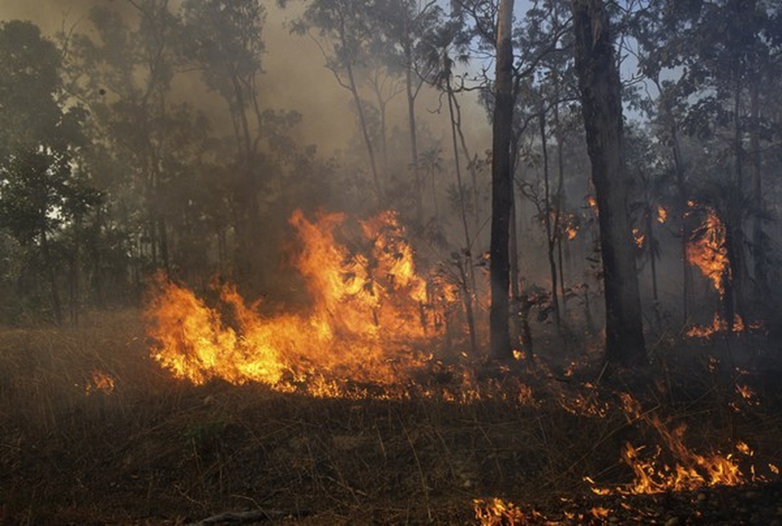 Feuer In Australien Nasa Satellitenbilder Und Grafiken Zeigen Das Verheerende Ausmass Watson