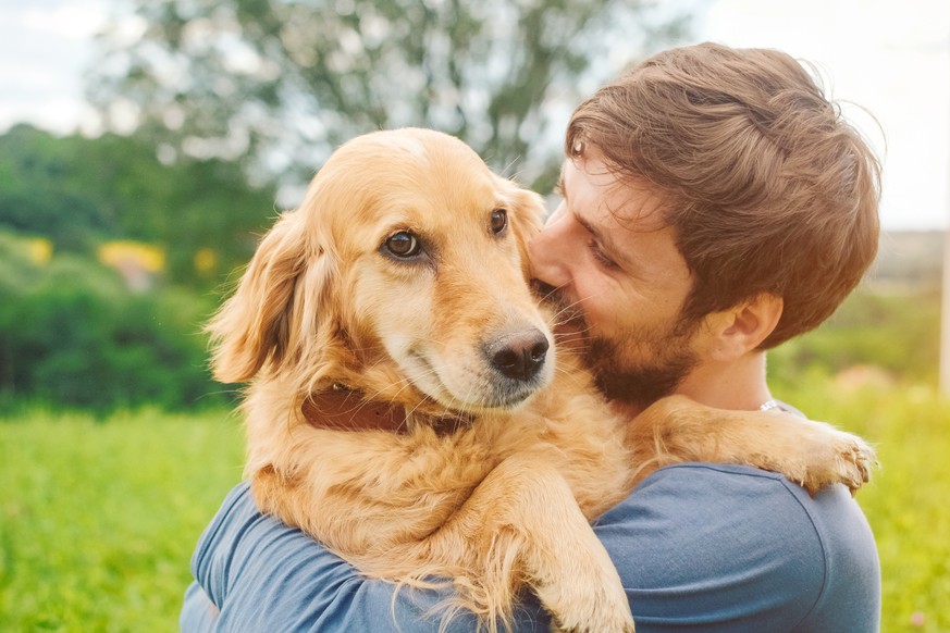 Dog, Pets, Springtime, Animal, Public Park