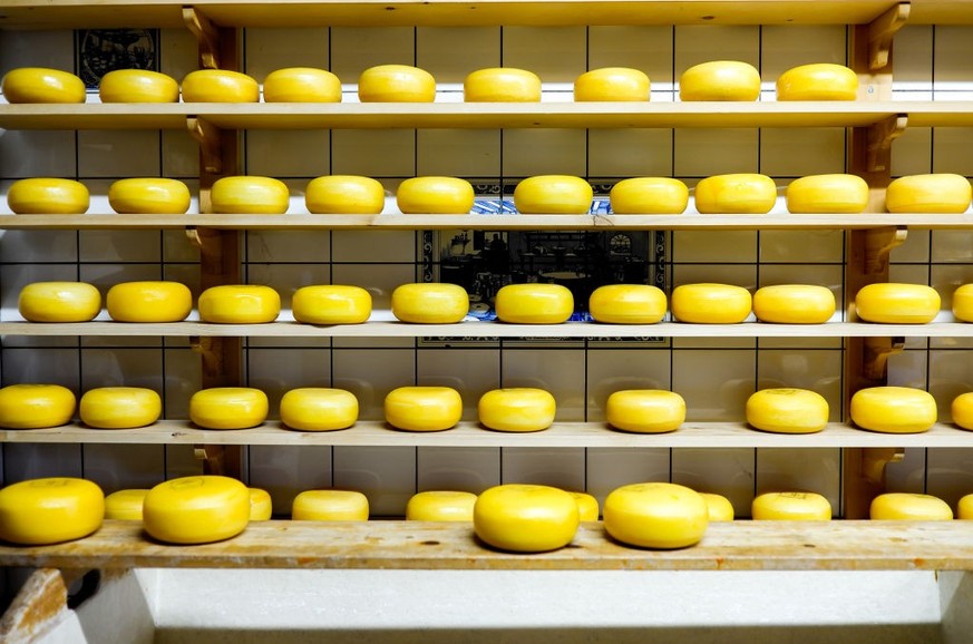 Gouda Cheese pieces are pictured at Zaanse Schan, in the urban area of of Amsterdam, on August 5, 2019. Zaanse Schans is one of the popular tourist attractions of the Netherlands and an anchor point o ...