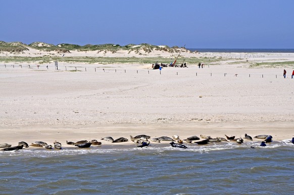 Ein Strand auf Norderney.