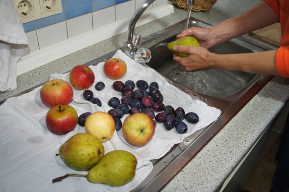 Obst trocknen, Obst waschen und abtropfen lassen, drying fruits Obst trocknen, Obst waschen und abtropfen lassen, drying fruits Copyright: xZoonar.com/PeterxHimmelhuberx 8601931