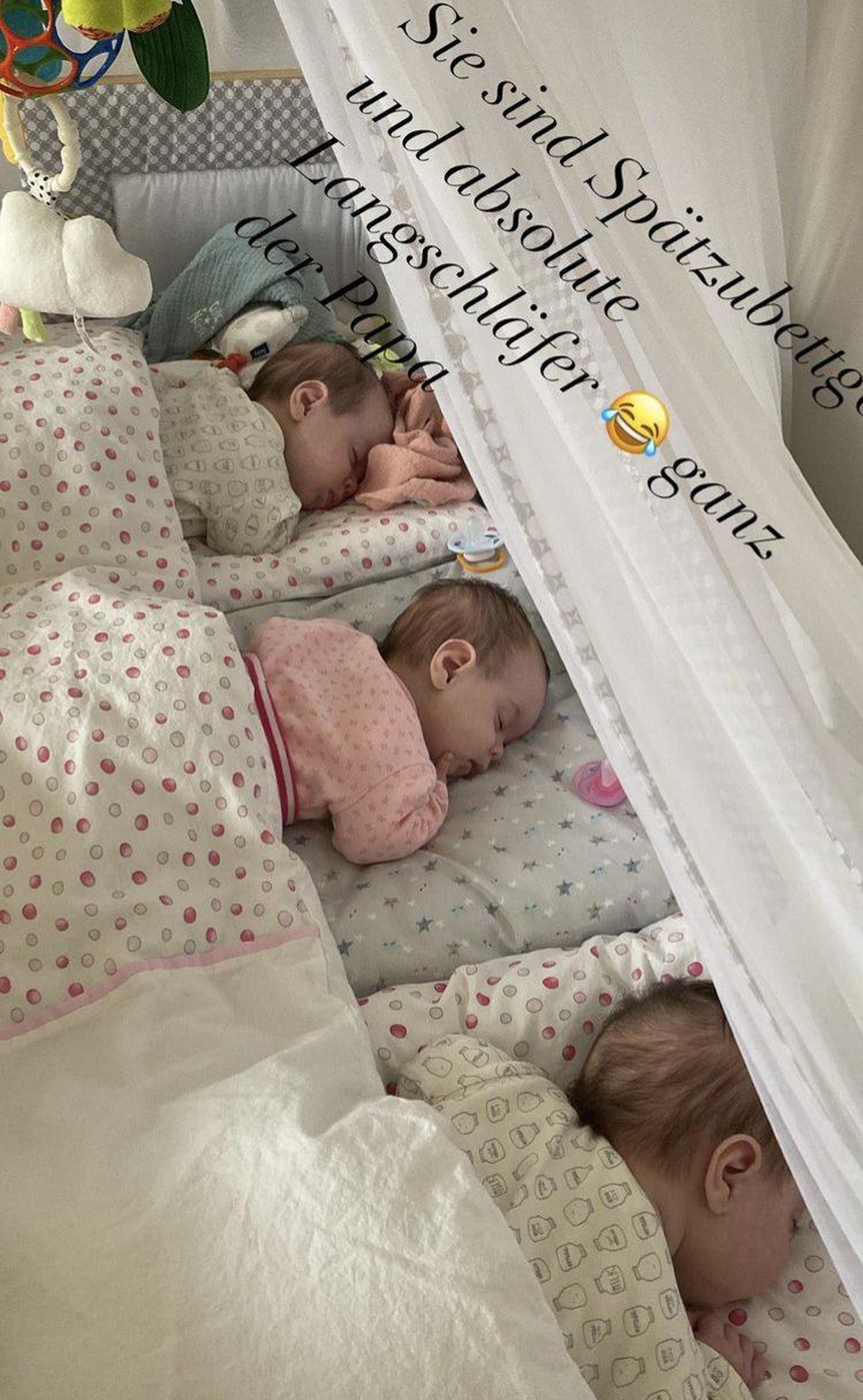 Den Babys schien es abends wieder gut zu gehen.