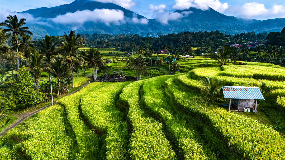 Bali ist schon seit Jahren ein äußerst beliebtes Reiseziel.
