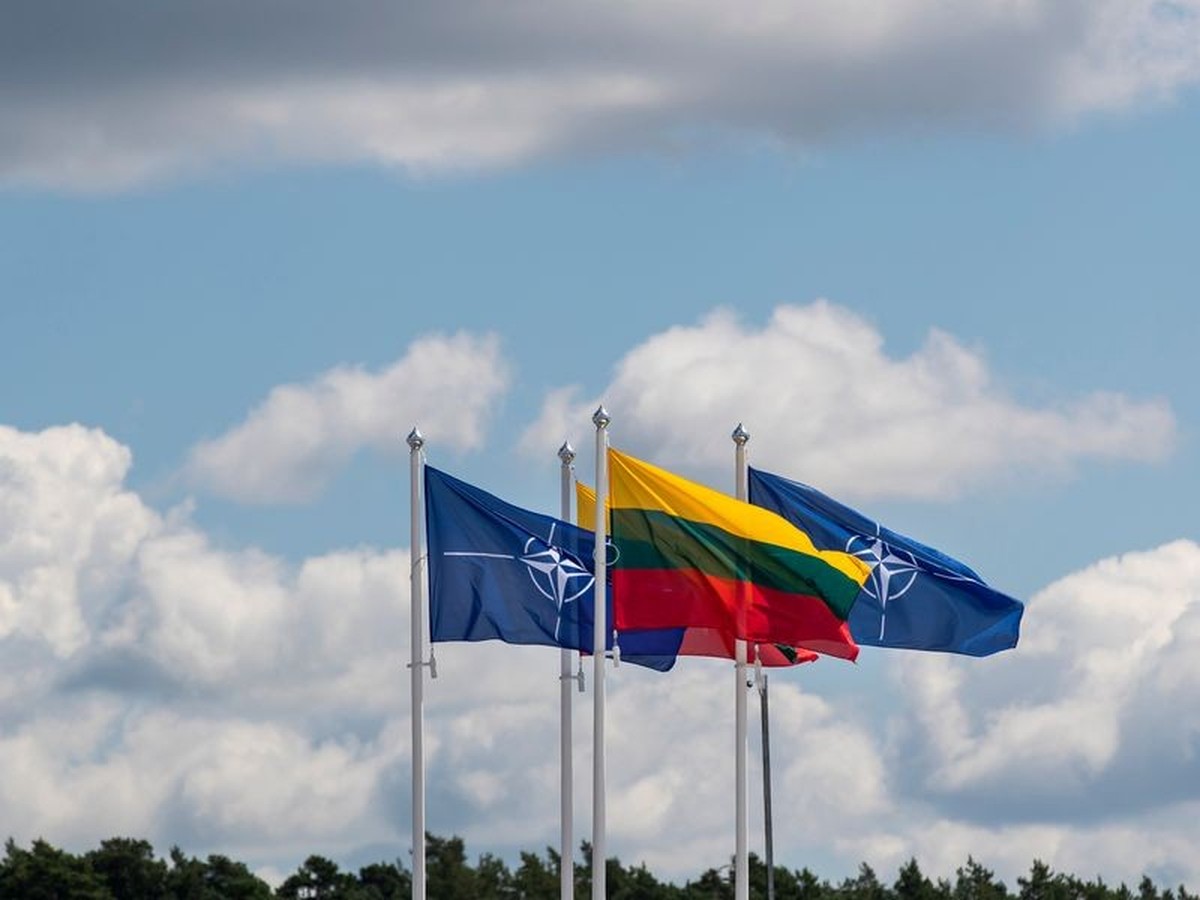Flaggen der Nato-Mitgliedsl