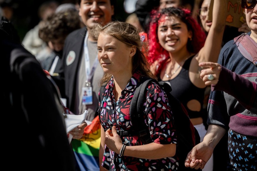 Greta Thunberg ist das bekannteste Gesicht der weltweiten Klimabewegung Fridays for Future.