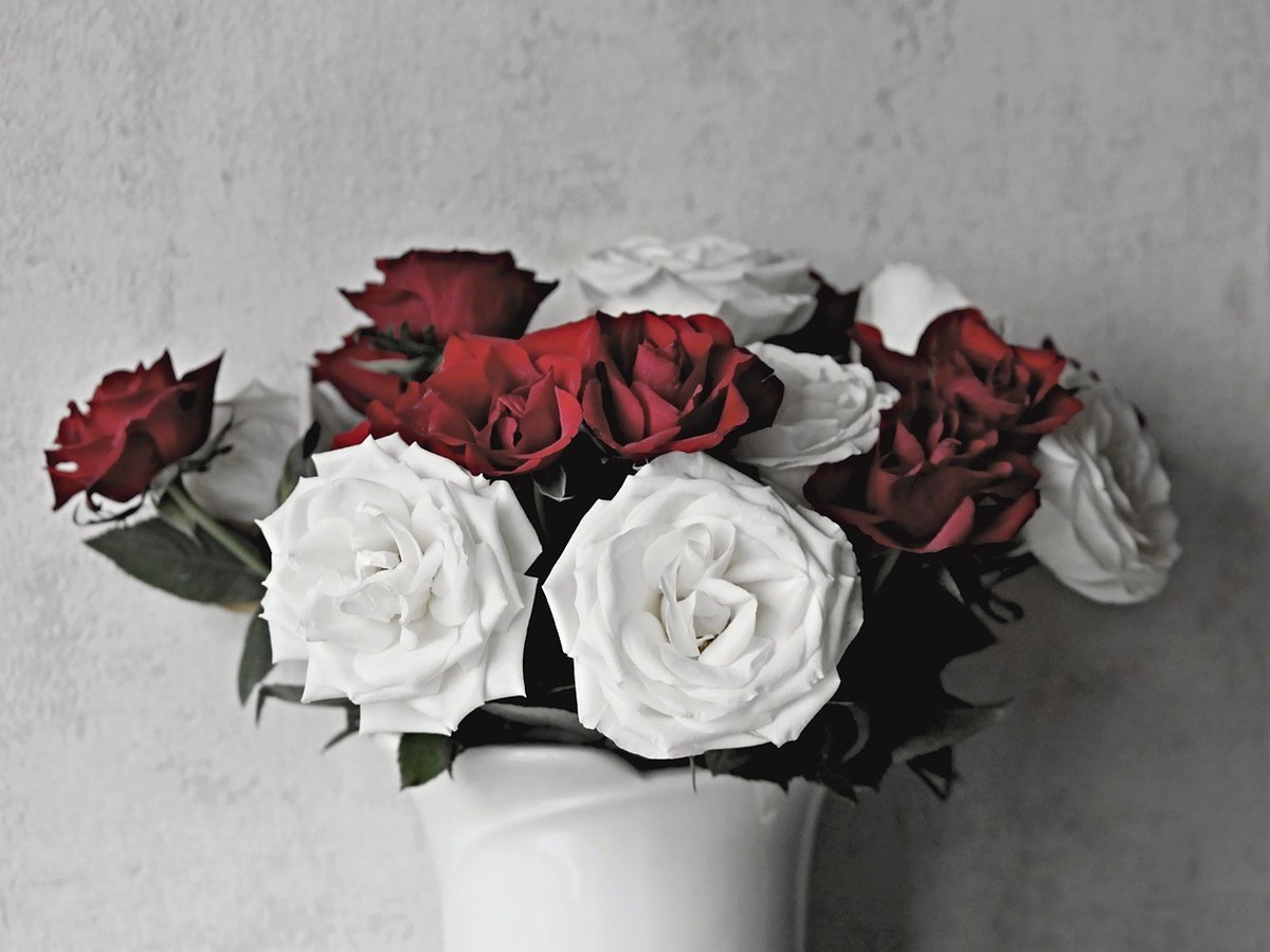 Rosen sind unter den Schnittblumen besonders beliebt.