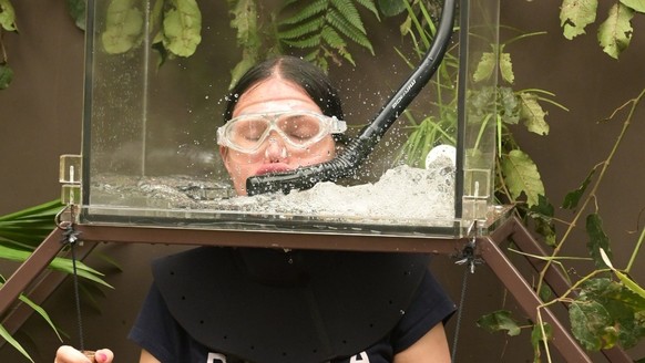 ACHTUNG: SPERRFRIST FÜR ALLE MEDIEN BIS SONNTAG, 29.01.2023, 24.00 UHR !!! Tag 17. Djamila Rowe kämpft in der Dschungelprüfung &quot;Korrekt&quot; um die Vorspeisen. Das Aquarium soll erst mit Wasser  ...