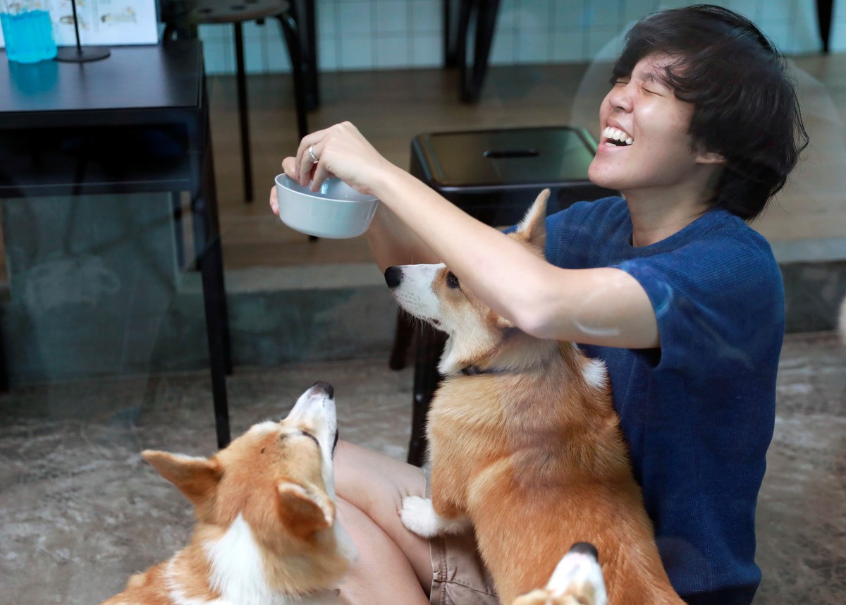 Corgi dogs play with customers at Corgi in the Garden cafe in Bangkok, Thailand, March 15, 2019. Picture taken March 15, 2019. REUTERS/Soe Zeya Tun