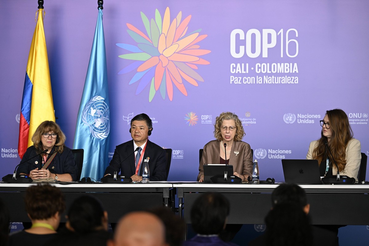 Cali, COP16-Konferenz in Kolumbien 241026 -- CALI, Oct. 26, 2024 -- Chinese Minister of Ecology and Environment Huang Runqiu 2nd L and Executive Director of the United Nations Environment Programme In ...