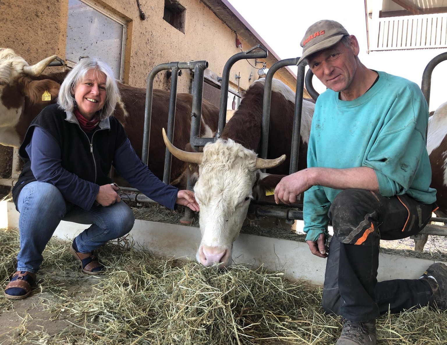 Michaela Amann und Joachim Weber-Amann haben trotz der vielen Arbeit immer Zeit für eine kurze Streicheleinheit ihrer Kühe. 