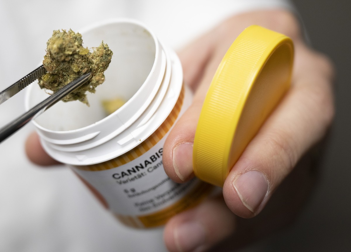 ARCHIV - 20.09.2022, Hessen, Mördfelden-Walldorf: Cannabisblüten zur medizinischen Behandlung gehören zum Produktbestand von «Cansativa». Hinter dicken Betonwänden lagern hier hunderte Kilogramm Canna ...