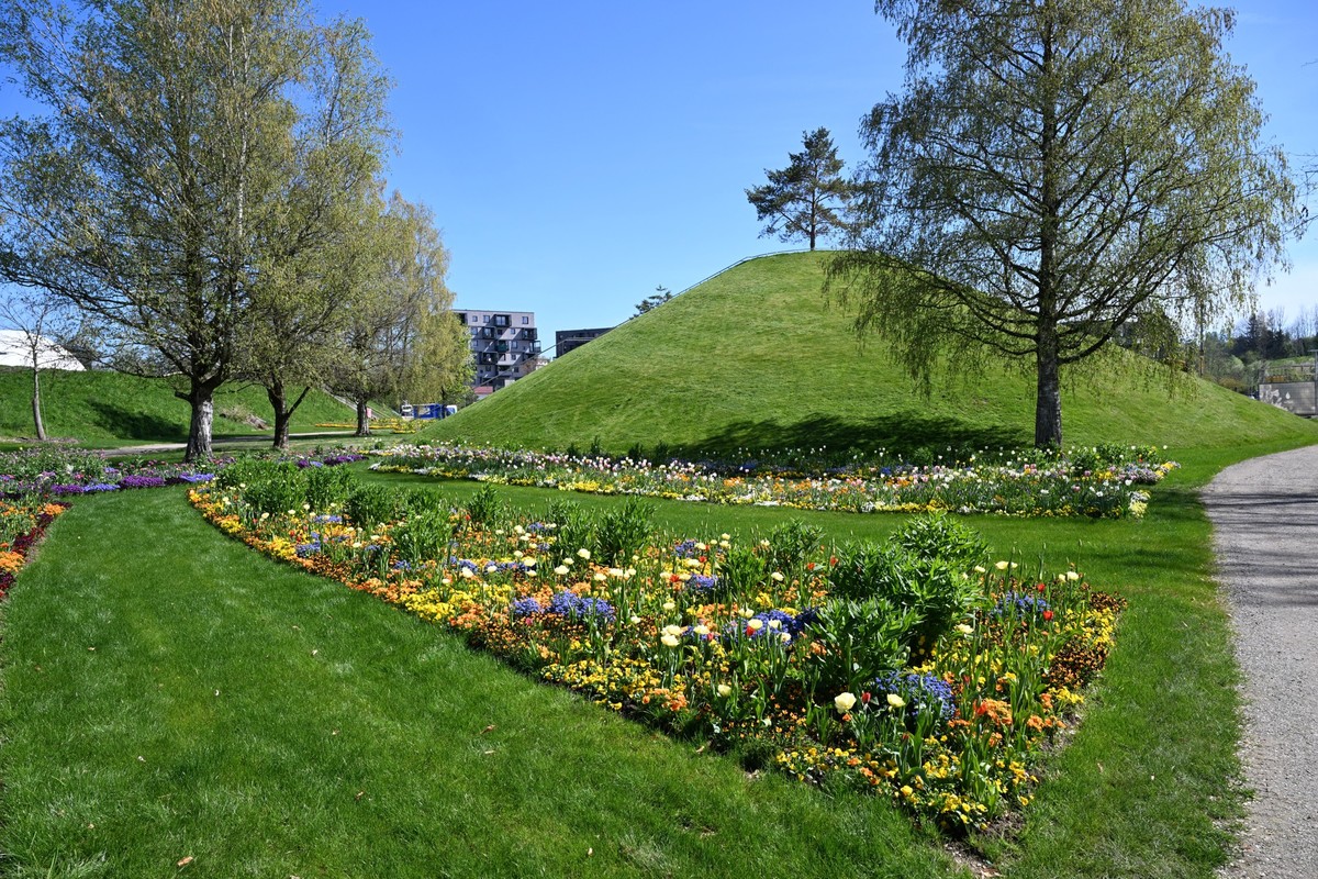 ARCHIV - 12.04.2024, Baden-Württemberg, Wangen im Allgäu: Blumen blühen auf der noch nicht eröffneten Landesgartenschau in Wangen im Allgäu. (zu dpa: «Landesgartenschau in Wangen wird offiziell eröffn ...