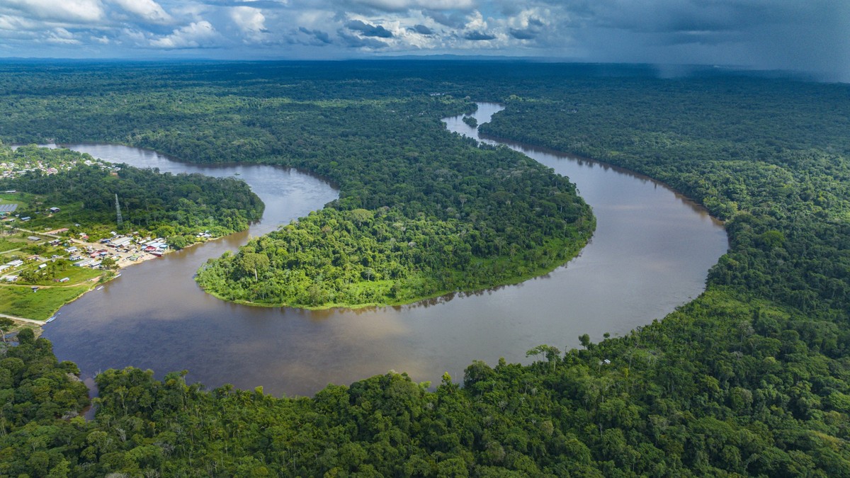 Aerial of the Suriname River at Pokigron, Suriname, South America PUBLICATIONxINxGERxSUIxAUTxONLY Copyright: MichaelxRunkel 1184-7819