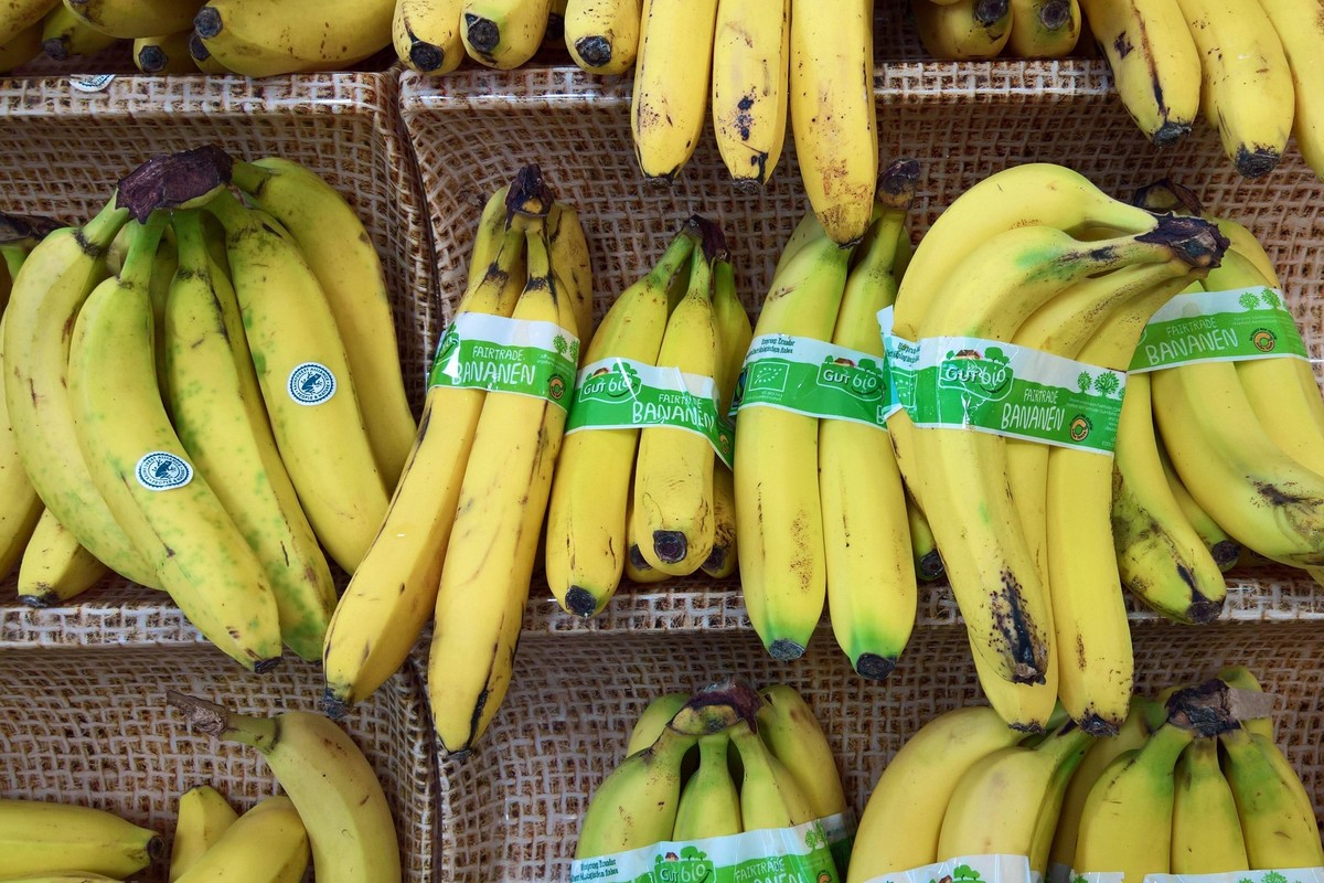 Gut Bio ist eine Fairtrade Banane bzw Bananen im Sortiment von Aldi Sued *** Gut Bio is a Fairtrade banana or bananas in the range of Aldi Sued