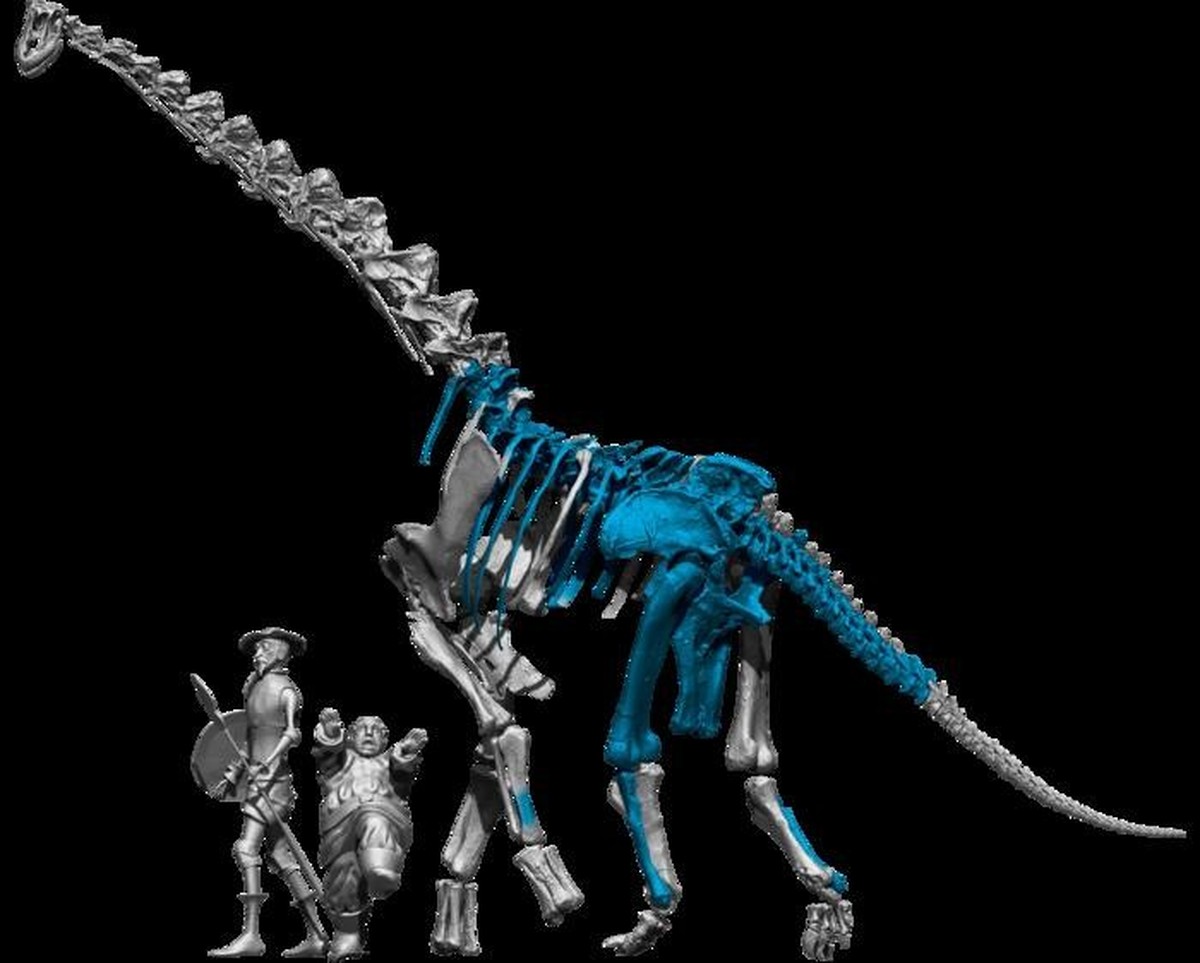 Ein Dinosaurier dieser Größe ist im europäischen Raum eher ungewöhnlich.