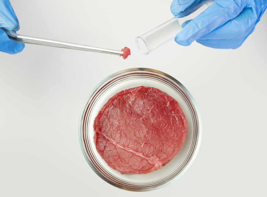 meat substitute in laboratory, food innovation technology research