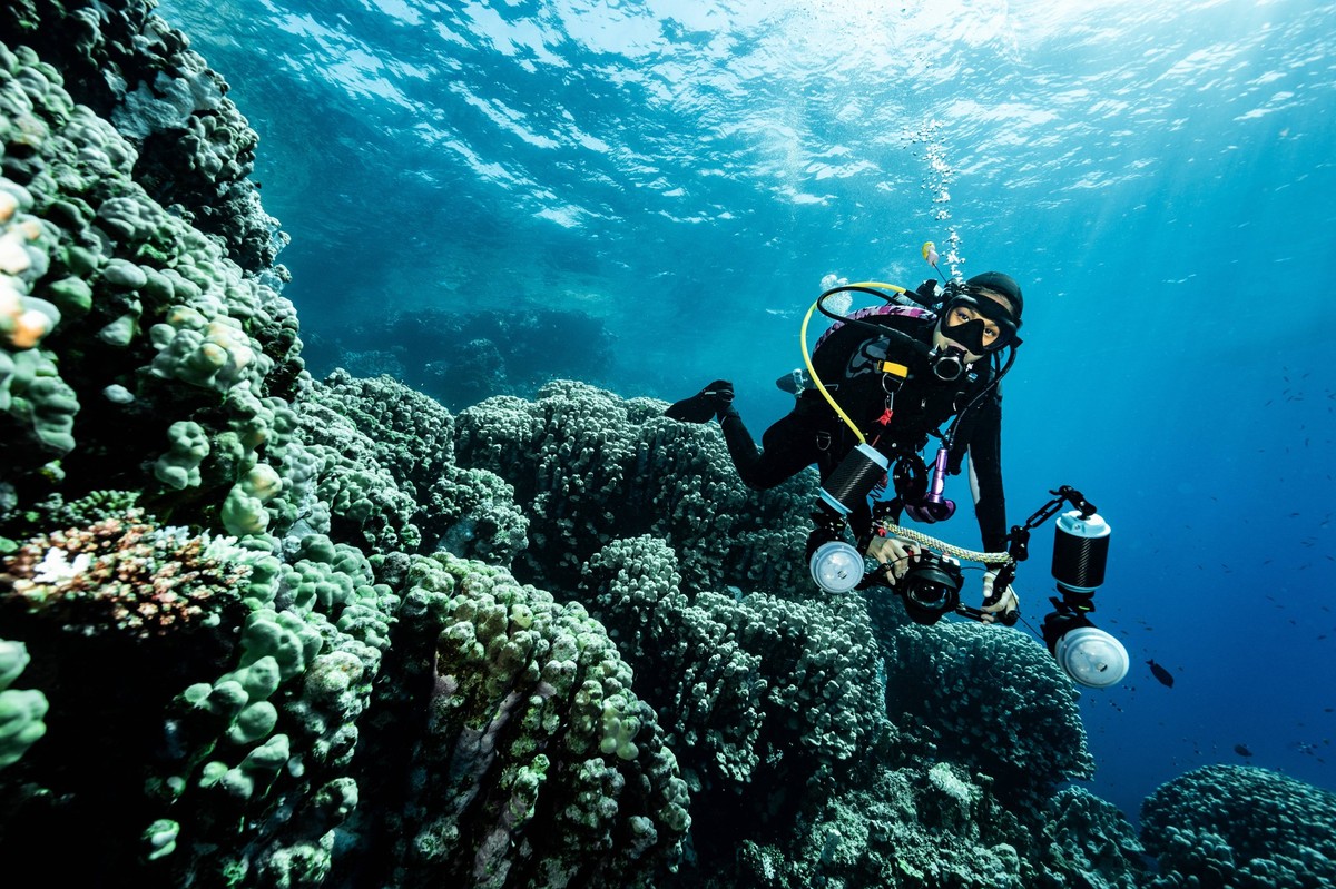 diver exploring the crystal clear water of the Red Sea Hurghada, Red Sea Governorate, Egypt CR_THHE251003F-1824345-01 ,model released, Symbolfoto