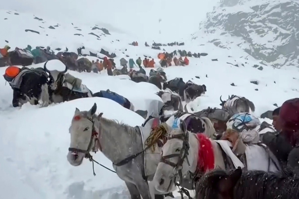 04.10.2025, China, Tibet: Auf diesem Foto, das am 4. Oktober 2025 aufgenommen und von Lingsuiye veröffentlicht wurde, steigen Dorfbewohner mit ihren Ochsen und Pferden den Berg hinauf, während sie ver ...