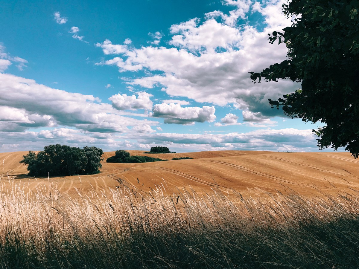 Robert Glaser (Deutschland), iPhone 7.
