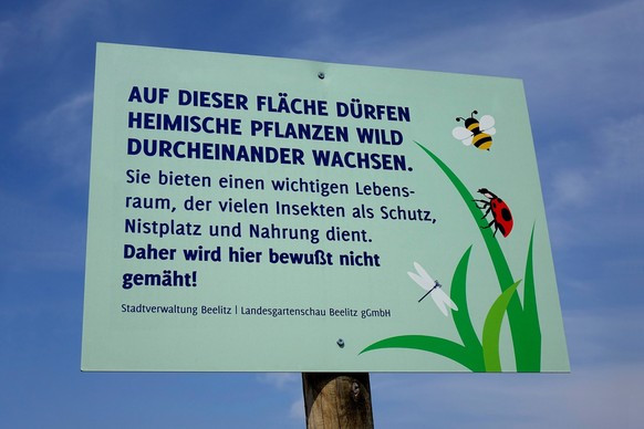 Informationsschild zum Lebensraum f�r Insekten Informationsschild zum Lebensraum f�r Insekten, 08.06.2023, Beelitz, Brandenburg, Auf einem Schild wird auf den Lebensraum von Insekten hingewiesen. ***  ...