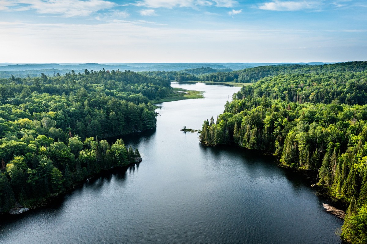 Aerial view of a lake and forest in the morning with mist over the forest in the distant horizon