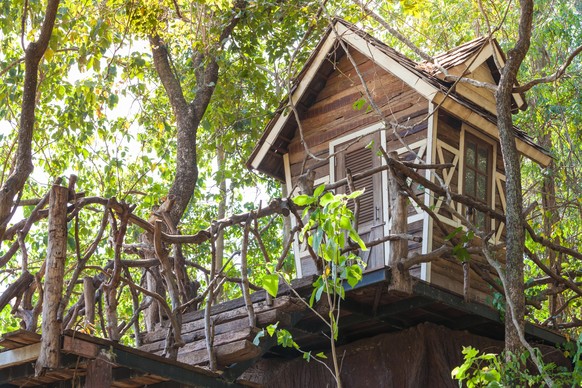 The old small wooden house in forest