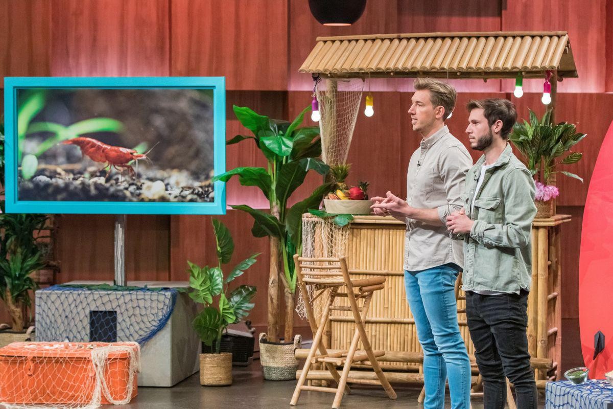 Schmeckt wie Garnele, besteht aber aus Algenextrakten und Soja-Mehl: Julian Hallet (links) und Robin Drummond setzen sich mit "Happy Ocean Foods" nicht nur für gesunde Ernährung, sondern auch für den  ...