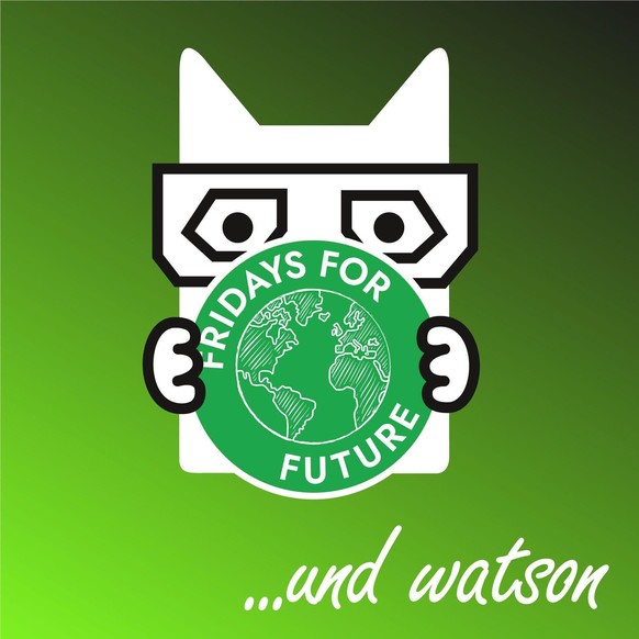 Alle zwei Wochen melden sich Aktivistinnen und Aktivisten von Fridays for Future in einem Gastbeitrag bei watson zu Wort, um zu zeigen: Wir können noch etwas gegen den Klimawandel tun – wenn wir jetzt ...