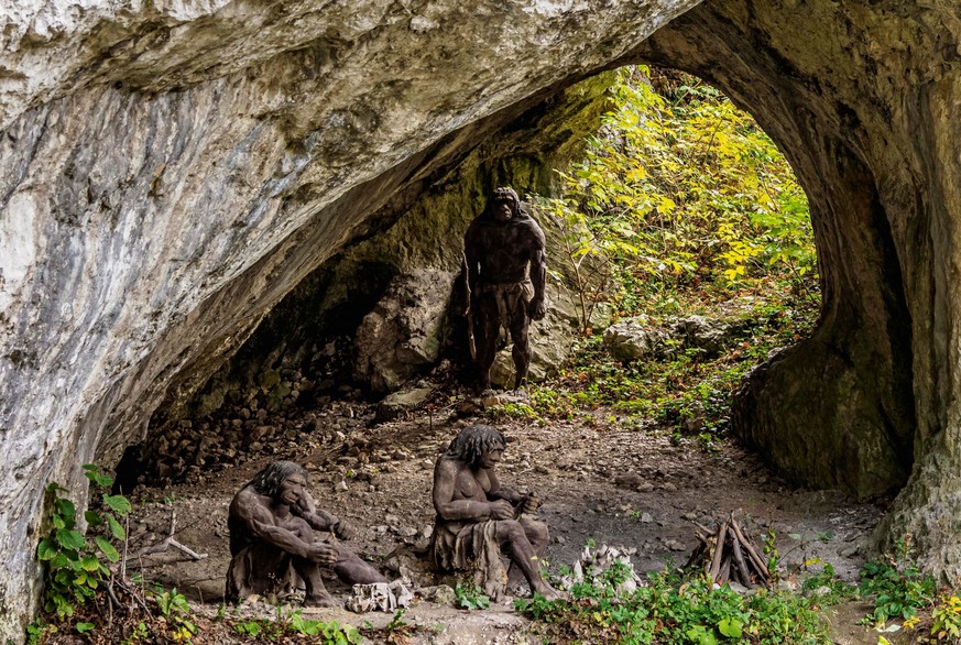 Rekonstruktion, Neandertaler Lager, Felsh