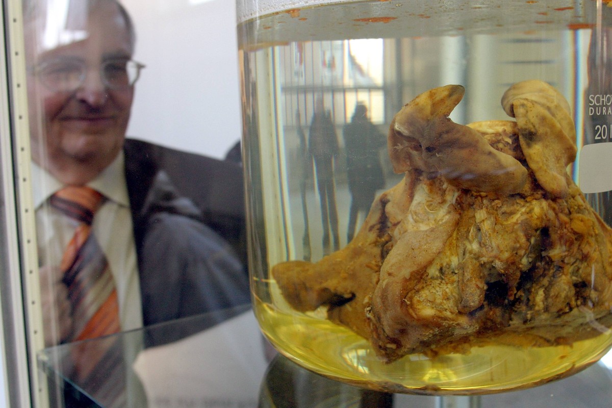 Mmmmhhhh: Theo Zwanziger betrachtet einen Schweinekopf, der an die Attacke in Barcelona erinnern soll.