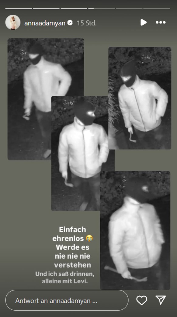 Anna Adamyan teilt Aufnahmen ihrer Überwachungskamera.