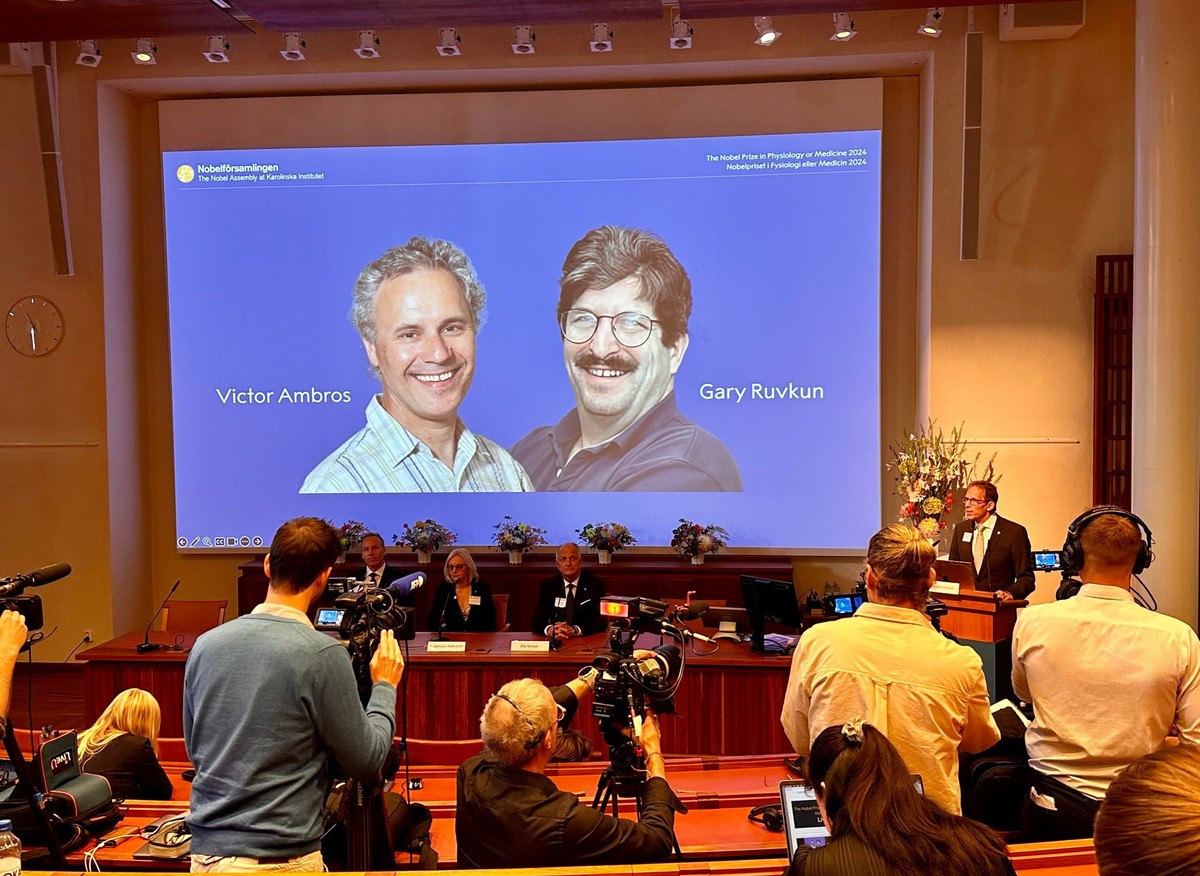 07.10.2024, Schweden, Stockholm: Thomas Perlmann (r), Sekretär der Nobelversammlung, verkündet die Gewinner des Nobelpreises für Medizin 2024, Victor Ambros (l-r, Leinwand) und Gary Ruvkun, von denen ...