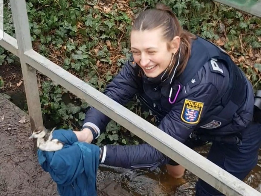 Polizistin rettet Küken, Quelle: Polizei Südhessen