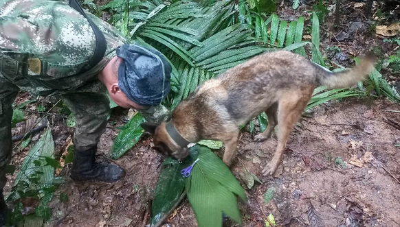 Die Suchaktion im dichten Regenwald hatte in Kolumbien für viel Aufmerksamkeit gesorgt.