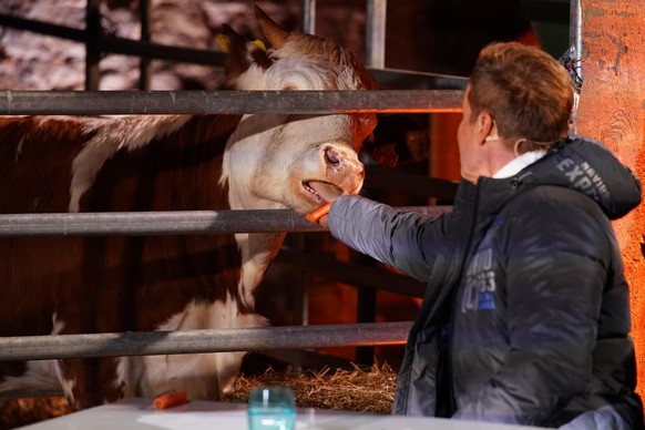 Jurymitglied Dieter Bohlen beim Recall im Kloster Bronnbach.

Die Verwendung des sendungsbezogenen Materials ist nur mit dem Hinweis und Verlinkung auf TVNOW gestattet.