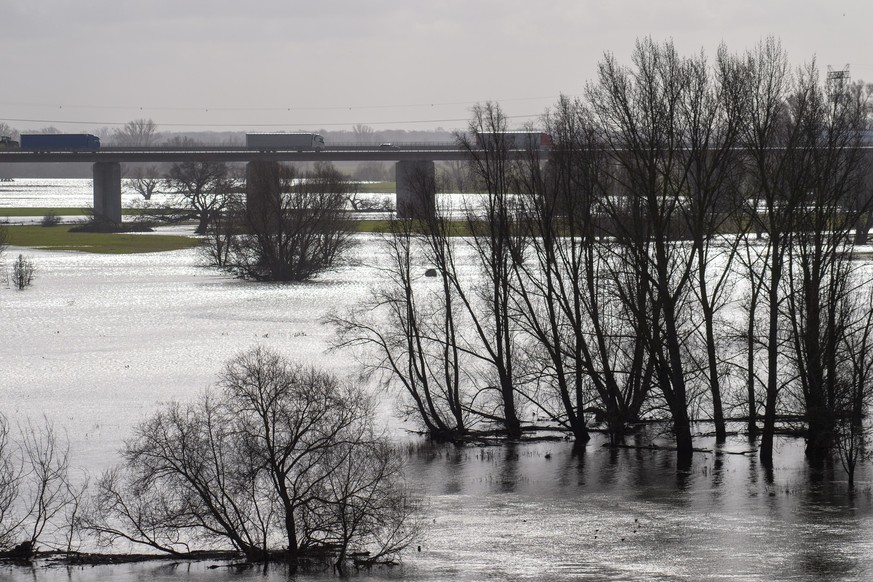 20.02.2024, Sachsen-Anhalt, Wolmirstedt: Wasser steht auf den Polderfl