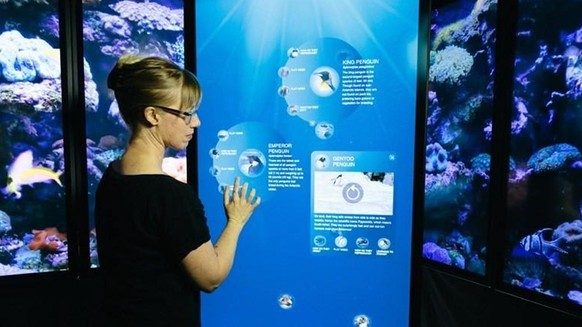 Durch Interaktion verstehen – das innovative Konzept der SRH Berlin wird euch online zur Verfügung stehen.