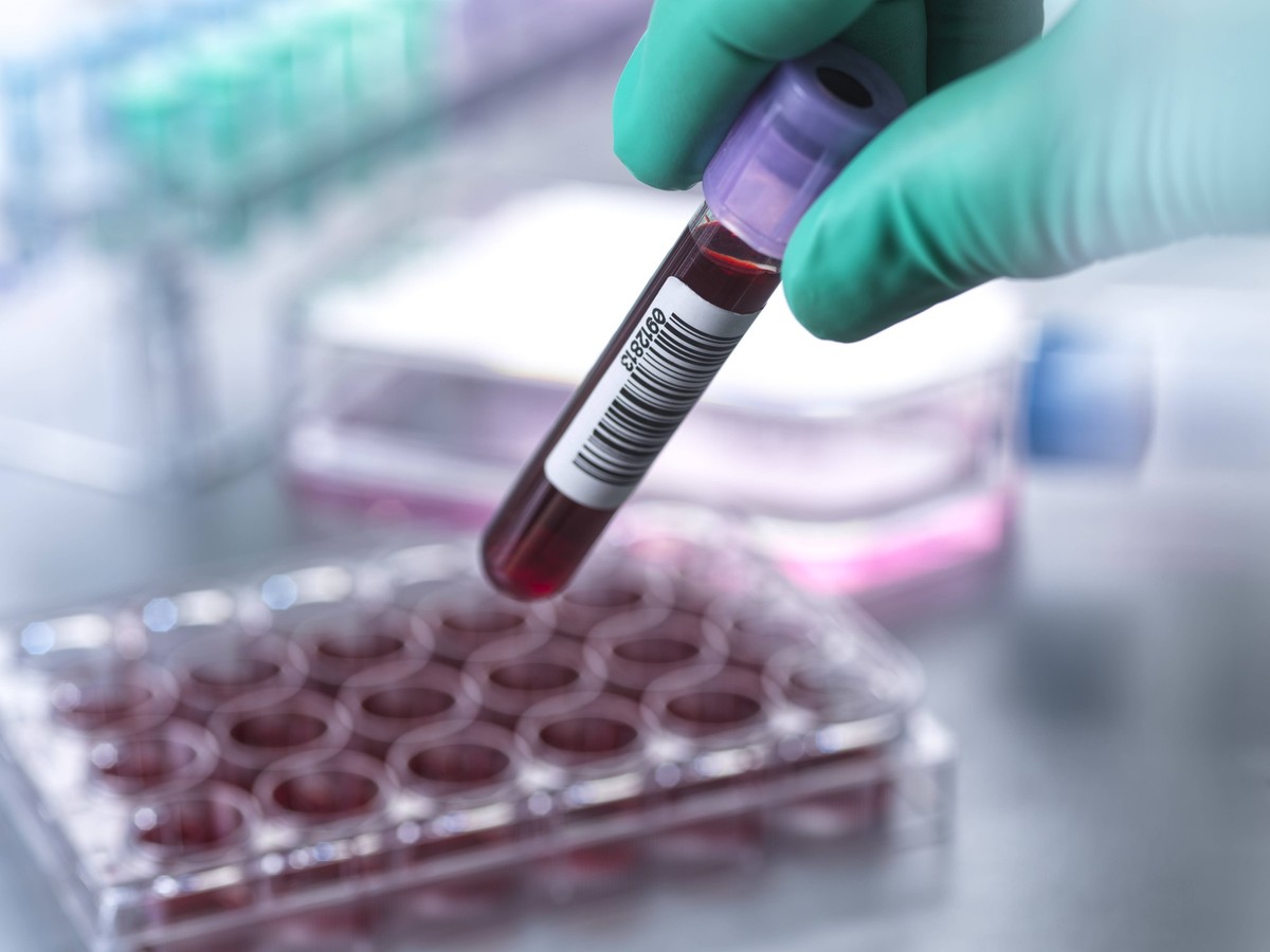 Scientist holding blood collection tube at laboratory model released, Symbolfoto property released, ABRF01184