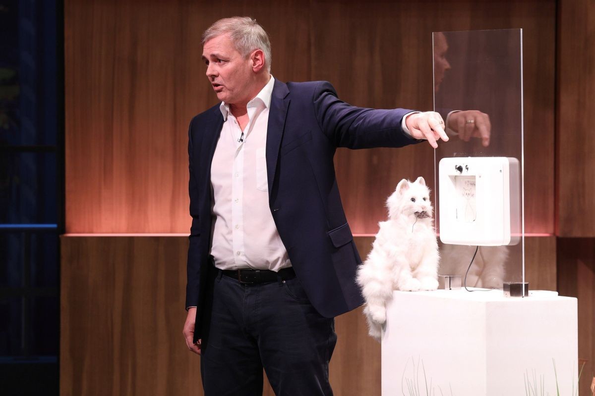 Die von Jean Paul Kölbl entwickelte "KittyFlap" soll dank einer KI-gesteuerten Bilderkennung den Haustiger nur dann einlassen, wenn er oder sie keine erlegte Maus im Maul mit sich führt.