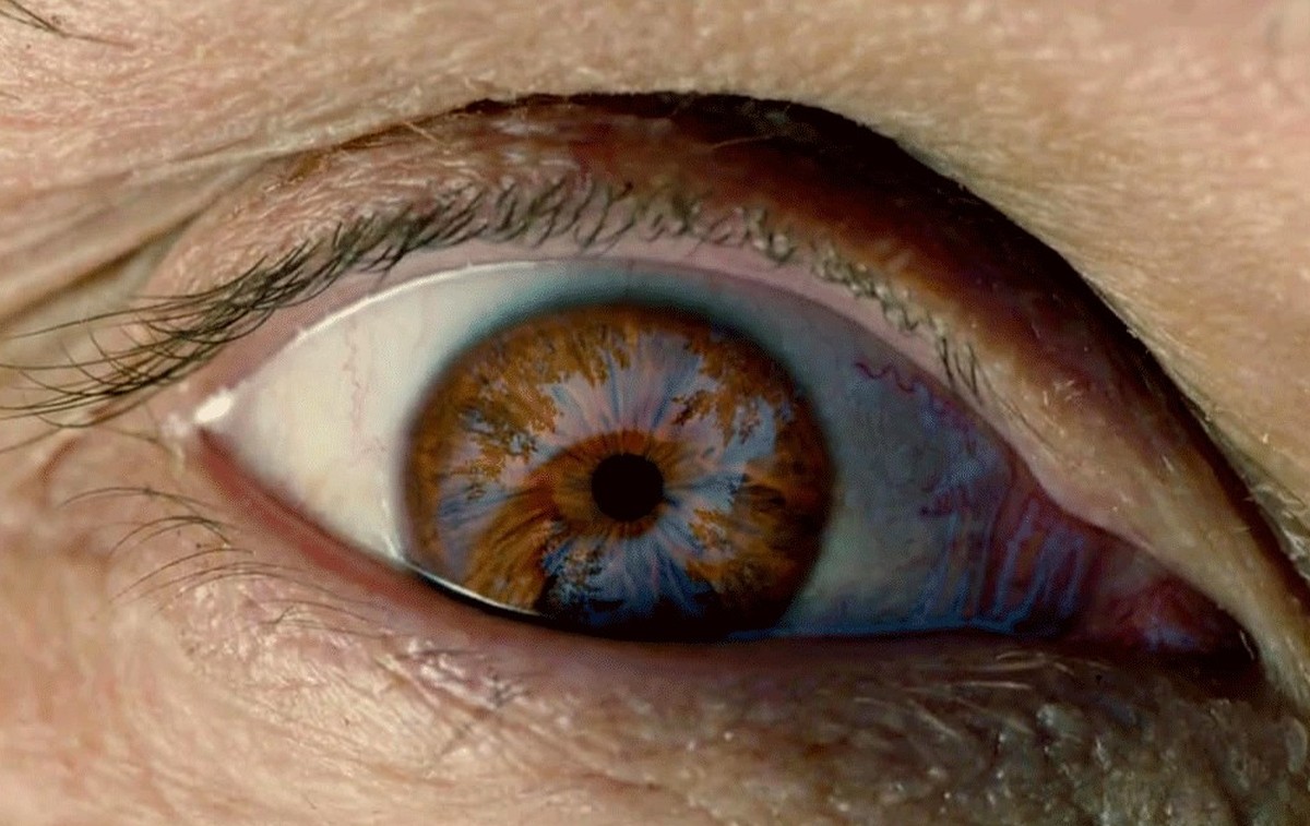 In den deutschen Kinos war der Film 2015 ein Hit.