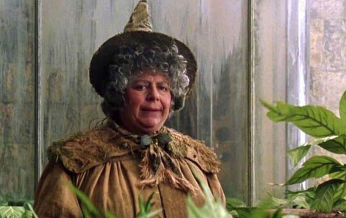 Miriam Margolyes ist ein Fan-Liebling aus "Harry Potter".