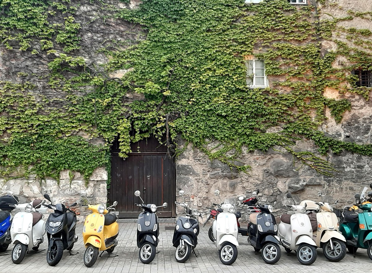 Motorrollerparkplatz vor begruenter alter Fassade, Deutschland | parking lot for motor-scooters, Germany