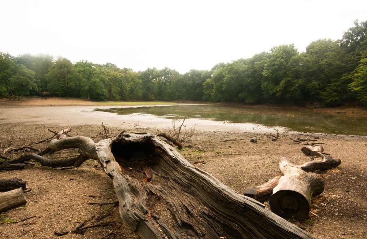 general view of dry Scheuermühlent pond in Cologne, Germany on July 26, 2022 as dry weather causes draught after several days hot and dry weather (Photo by Ying Tang/NurPhoto via Getty Images)