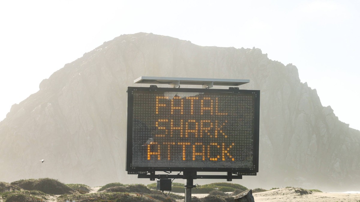 December 10, 2021, San Luis Obispo, CA, USA: A sign on Embarcadero announces the cause of a water closure. The water was closed north of Morro Rock after a fatal shark attack, Dec. 24, 2021. San Luis ...